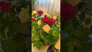 Алла Пугачева❤️💋💐