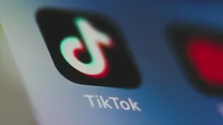 Next potential TikTok owner could be decided by who wins presidential election: Expert | Morning in