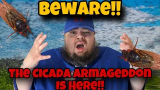 BEWARE! The Cicada Armageddon Is Here And It’s Spreading Fast !!!