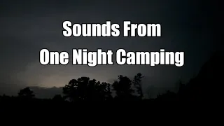 What's Outside My Tent? Audio Recordings Through The Night