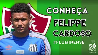 CONHEÇA FELIPPE CARDOSO! A nova esperança de gols do Fluminense para 2020