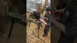 Chainsaw carving a bear table . #chainsawcarver #chainsaw