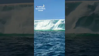 Longest Iceberg #viral #canada #iceberg #shorts