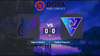 Nigma Galaxy vs. Tundra Esports - DPC WEU 2023 Tour 2: Division I | BO3 @4liver