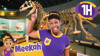 Dino Fun at the Museum with Meekah | 1 HR OF MEEKAH! | Educational Videos for Kids