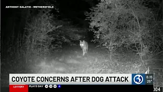 Coyote concerns after dog attacked