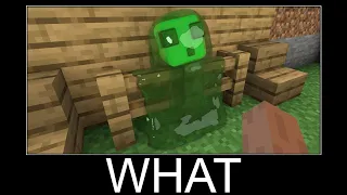 Minecraft realistic wait what meme, Lava, Water, Slime #338