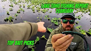 Lake Toho Fishing Report & Top Bait Picks for February