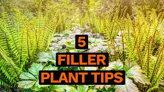 5 Filler Plant Tips: Easy Ideas to Transform your Garden Design