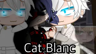 Cat Blanc | Gacha Club MLB | Little Lazy 💜🖤