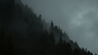 "don't go near the fog." | pacific northwest gothic playlist