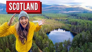 Better Than NC500? | Cairngorms | UK Vanlife