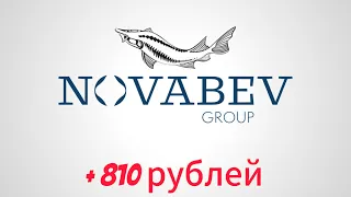 Заработал за день на акциях Novabev