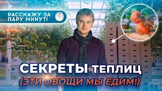 СЕКРЕТЫ теплиц 🥒 || Эти овощи мы едим!