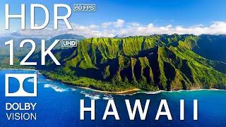 12K HDR 60FPS DOLBY VISION - HAWAII TOURIST PARADISE - TRUE CINEMATIC