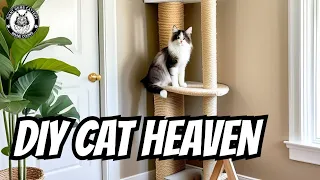 How to Build a CAT CLIMBING WALL for UNDER $50.