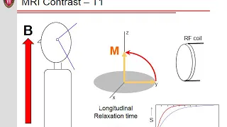 How does MRI work?