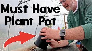 Allotment Gardening | The Plant Pot Everyone Wants | Allotment Garden