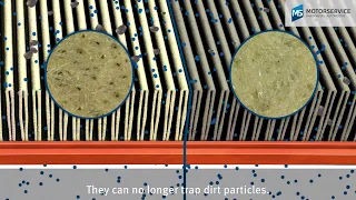 Cleaning the air filter: beating or blowing out method?