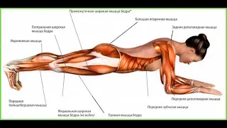 "Планка"! Хорошее или плохое упражнение?