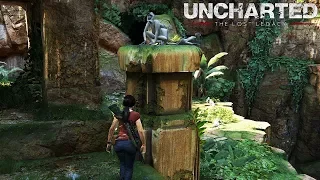 Uncharted The Lost Legacy Gameplay Deutsch #07 - Im Affenparadies