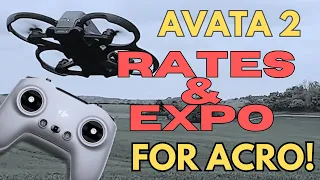 DJI Avata 2 ACRO Rates and Expo! EXPLAINED!