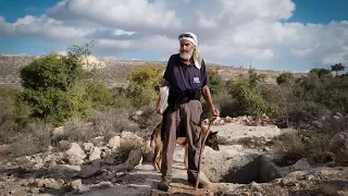 The Jewish Shepherd