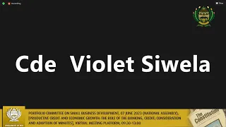 Portfolio Committee on Small Business Development, 07 June 2023