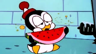 Chilly Willy en Español 🐧Perro frio - Capitulos completos🐧Dibujos Animados