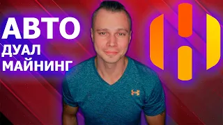 Авто переключение алгоритмов дуал майнинг в HiveOS lolminer