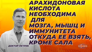 Арахидоновая кислота необходима для мозга, мышц и иммунитета. Откуда ее взять, кроме сала?