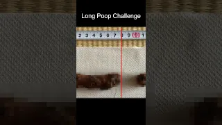 Long Poop Challenge ~simple but difficult game~