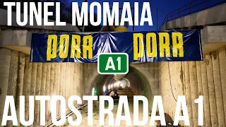 AUTOSTRADA A1 | Tunel Momaia Ep. 6 | Pitesti - Sibiu Sectiunea 4 Curtea de Arges-Tigveni | 16.02.24