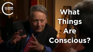 Henry Stapp - What Things are Conscious?