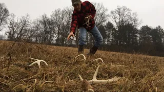 Tips For Finding More Deer Shed Antlers!!! *Shed Hunting*