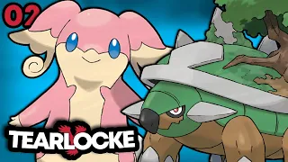 SIAMO GIÀ alla SETTIMA RUN!? FINALMENTE arriviamo a LUMINOPOLI! | Pokémon Y Tearlocke