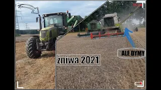 🔥 Żniwa 2021 🔥 🔥 (Claas & John deere)