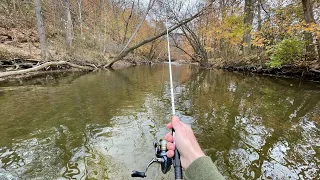 TROUT Fishing with Spoons