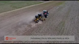 Dotnuva Seeds. SĖKLININKYSTĖ: pašarinių žolių sėja Prienų rajone.