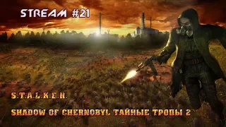 S.T.A.L.K.E.R. - Shadow Of Chernobyl Тайные тропы 2   [Stream #21]