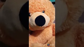 how to wash your big teddy 🐻🧸