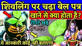 शिवलिंग पर चढ़ा बेल पत्र खाने से क्या होता है ? bhagwan shankar ki kahani story / Shivling story