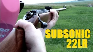 Subsonic 22LR - Ruger 10/22 vs CZ 452