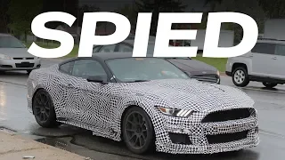 2019 Ford Mustang Shelby GT500 Spy Video