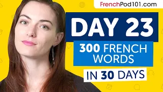 Day 23: 230/300 | Learn 300 French Words in 30 Days Challenge