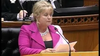 DA: Hon D. Kohler-Barnard - Use of Waterkloof Air Force Base Debate