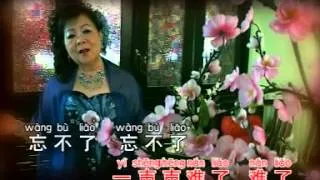 Sally Wong - (9) Bu Liao Qing