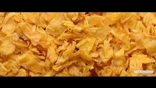 How is Maize / Corn Flakes Made?    Thaakorgee Industries