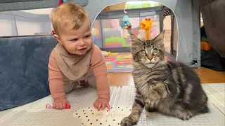 Adorable Baby Boy Can't Stop Laughing At His Kitten! (Cutest Ever!!)