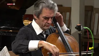 Franz Schubert - Arpeggione Sonata D.821 in a version for Cello & Harp